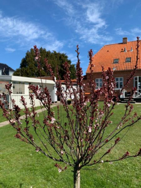 H. C. Lumbyes Vej - kælderlejlighed in Odense C